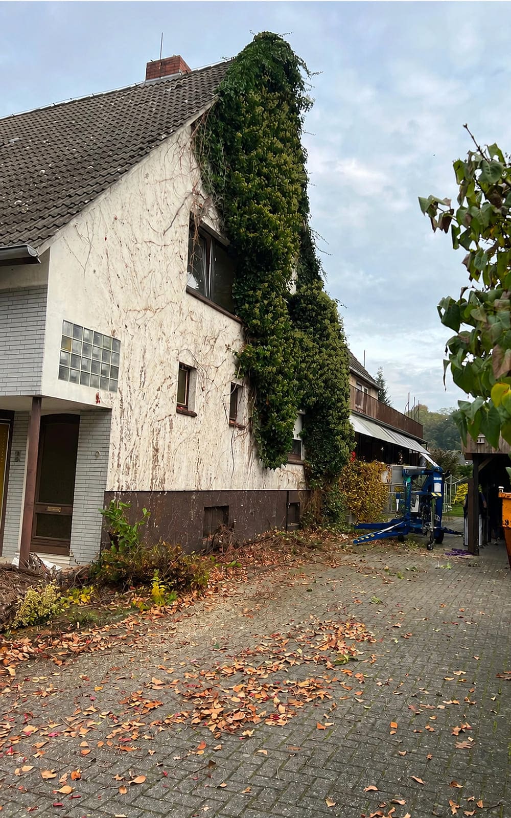 Der Giebel des Gebäudes in Meppen vor der Sanierung: rissiger heller Putz, dicht mit Efeu bewachsen, dahinter ein niedriger Anbau und eine Hebebühne